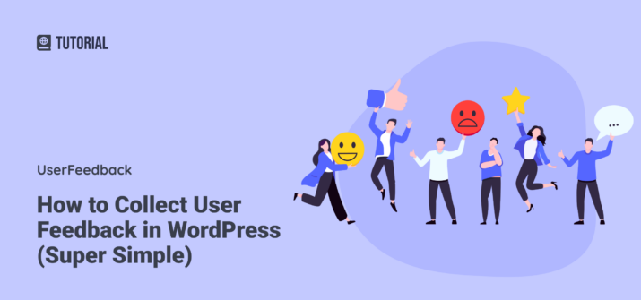 How to Collect User Feedback in WordPress (Super Simple)